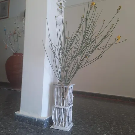 Apartment Panagioula *